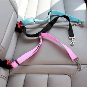 Pet seatbelt